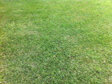 Baugrundstück in 39264 Zerbst OT Luso, Ringstraße - Foto.JPG