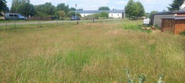 Baugrundstück in 39264 Zerbst/Anhalt OT Deetz zu verkaufen - 20250611_131402.jpg