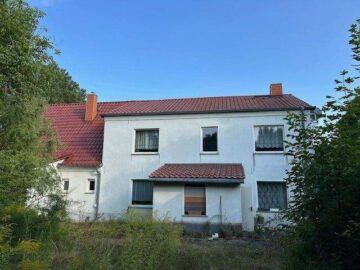 Teilsaniertes Landhaus im Dorfkern - in 39264 Zerbst OT Nedlitz - Rückansicht / Ansicht Innenhof