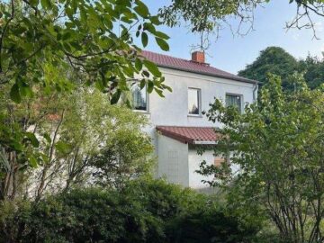 Teilsaniertes Landhaus im Dorfkern - in 39264 Zerbst OT Nedlitz - Rückansicht / Ansicht Innenhof