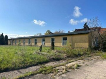 550 m² beheizbare Gewerbehalle auf großem Grundstück in Großalsleben nahe Oschersleben, Halberstadt, Quedlinburg - Seitenansicht