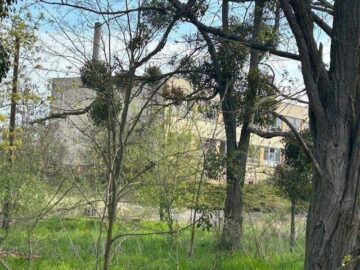 1 ha Gewerbefläche mit Restgebäude - IMG_7242.jpg