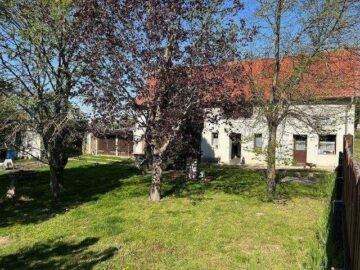 Gepflegtes Landhaus auf traumhaftem Grundstück u. angrenzenden Bach - Grundstücksansicht mit Haus