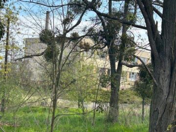 1 ha Gewerbefläche mit Restgebäude - IMG_7242.jpg