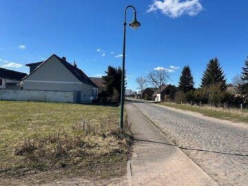 Eck-Baugrundstück 1.233 m² mit Baugenehmigung + unverbaubarem Naturblick in Luso bei Zerbst - IMG_6500.jpg