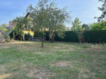 Doppelhaushälfte sanierungsbedürftig in 39264 Zerbst OT Jütrichau - Grundstück / Garten